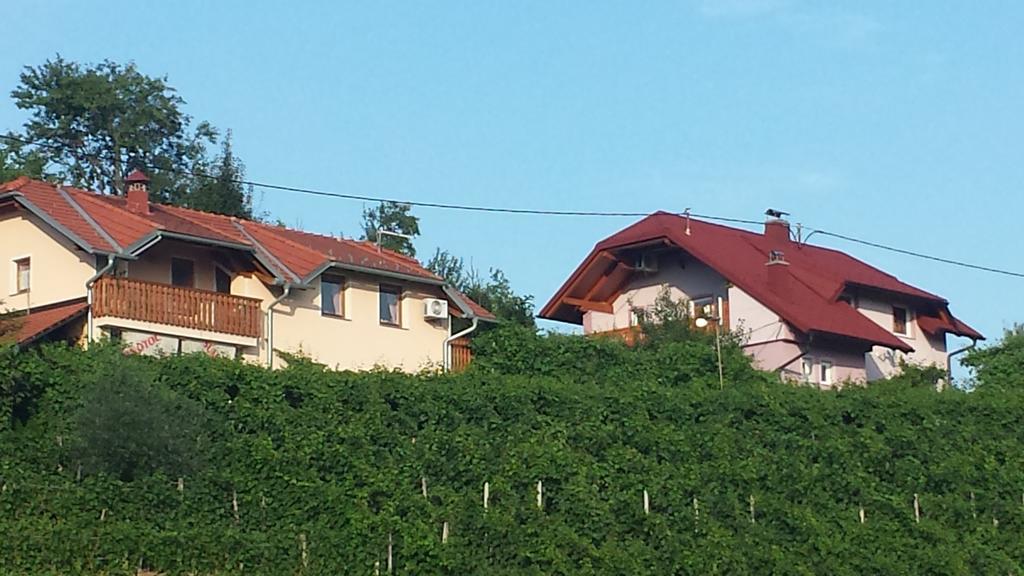 Apartment House Sumrak Bizeljsko Bagian luar foto